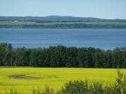 Picture of 14, 420069 Range Road 284  , Rural Ponoka County Real Estate Listing