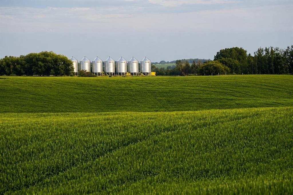 Picture of 1,085 Acres  , Two Hills Real Estate Listing