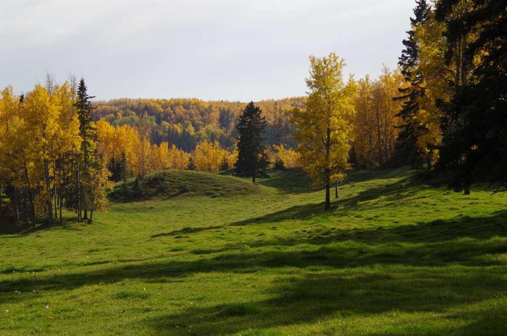 Picture of 62076 James River Road , Rural Clearwater County Real Estate Listing
