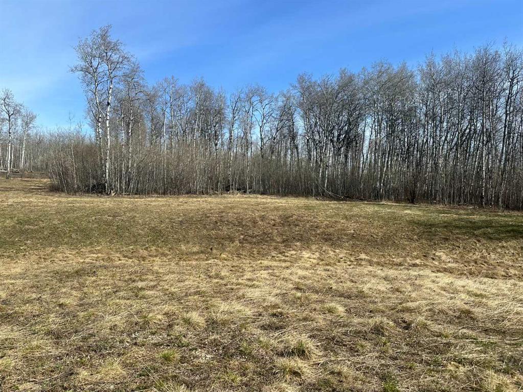Picture of 90058b twp 720  , Wembley Real Estate Listing