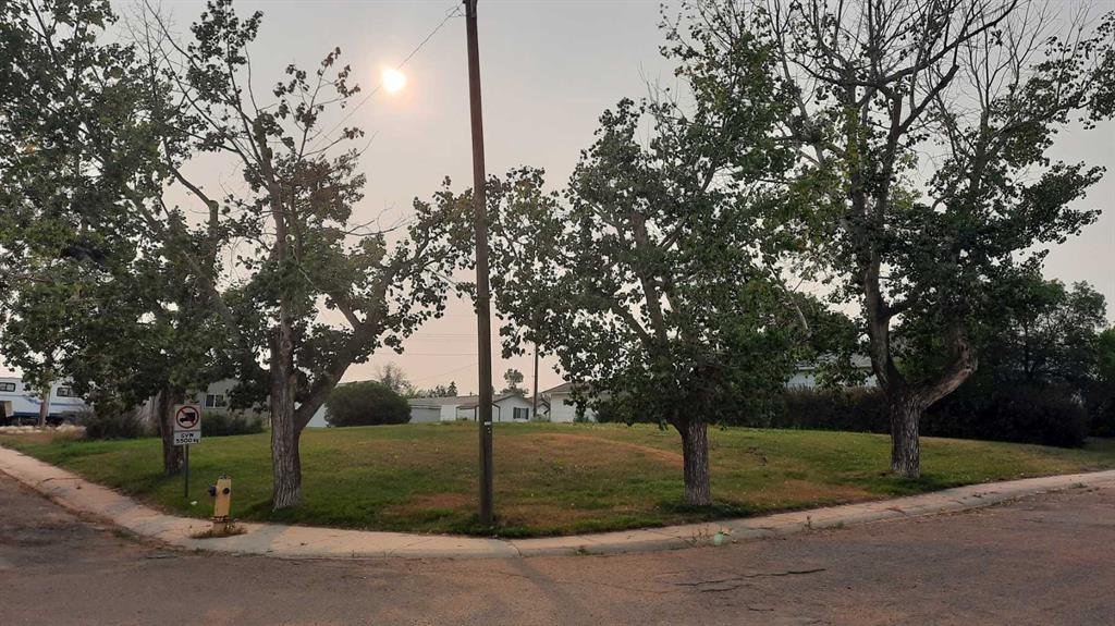 Picture of 114 Railway Avenue S, Morrin Real Estate Listing