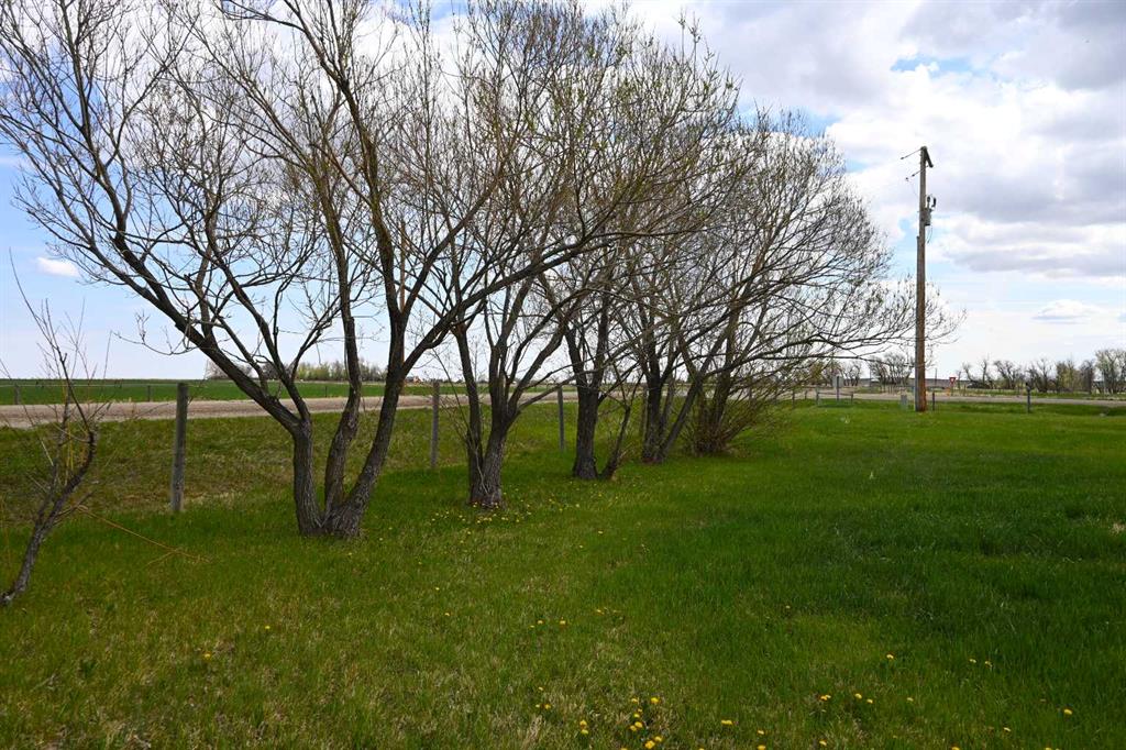 Picture of 131 North 2nd Street E, Hill Spring Real Estate Listing