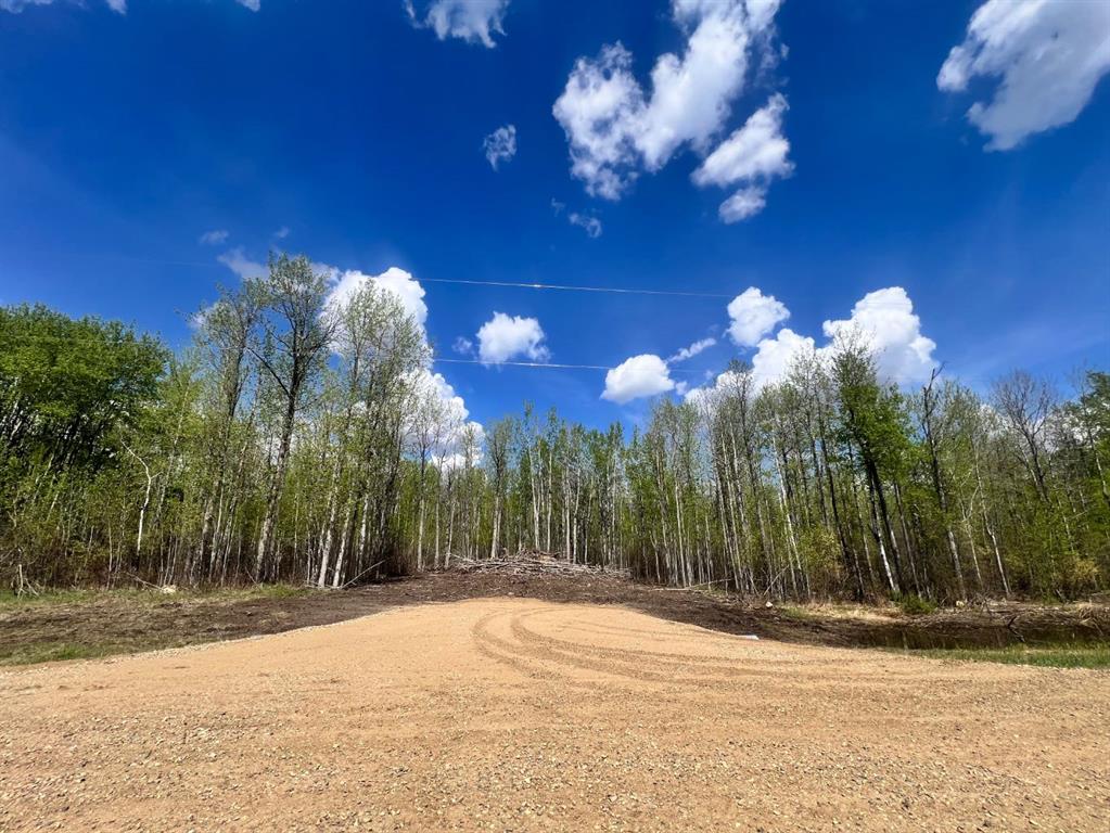 Picture of 2620445;1; 3  , Athabasca Real Estate Listing