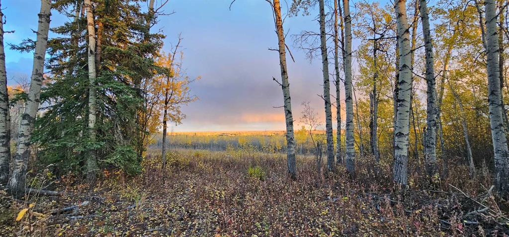 Picture of SE-27-79-9-W6 92 Range Road , Rural Saddle Hills County Real Estate Listing