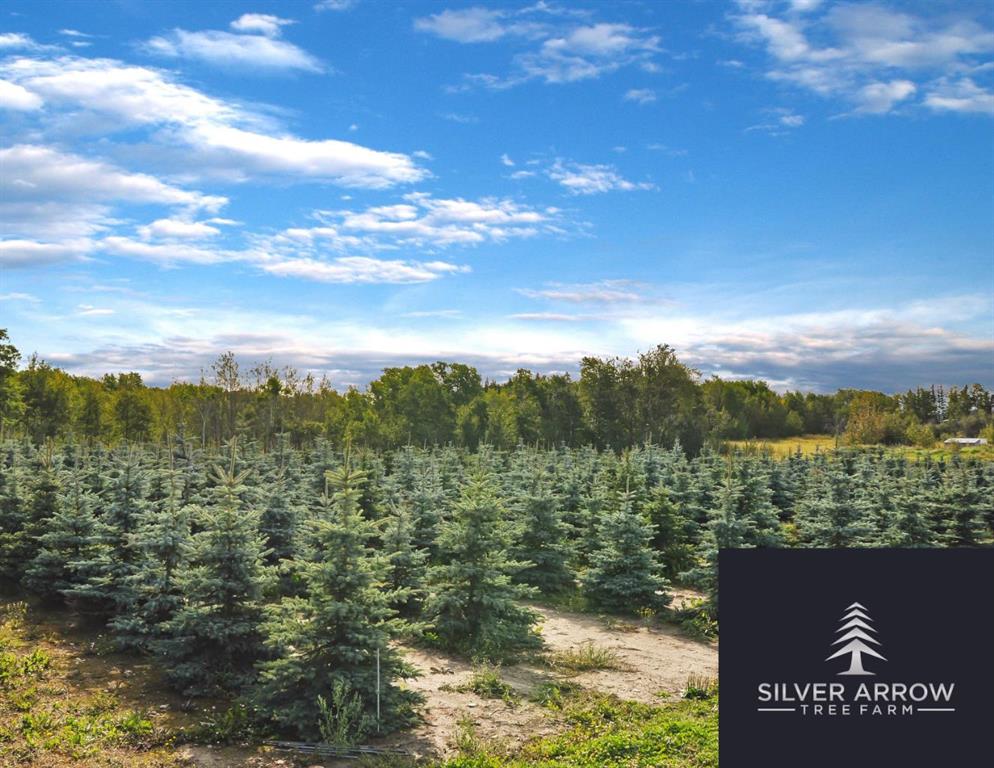 Picture of NE22-74-6-W6 62 Range Road , Rural Grande Prairie No. 1, County of Real Estate Listing