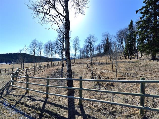 Picture of 15 Kicking Horse Way , Rural Foothills County Real Estate Listing