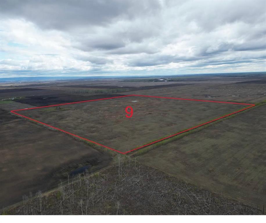 Picture of SW-11-104-19-W5  , Rural Mackenzie County Real Estate Listing