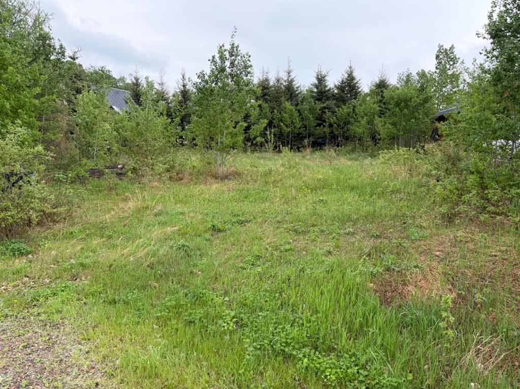 Picture of 207 Lakeview Dr  , Lac Des Iles Real Estate Listing