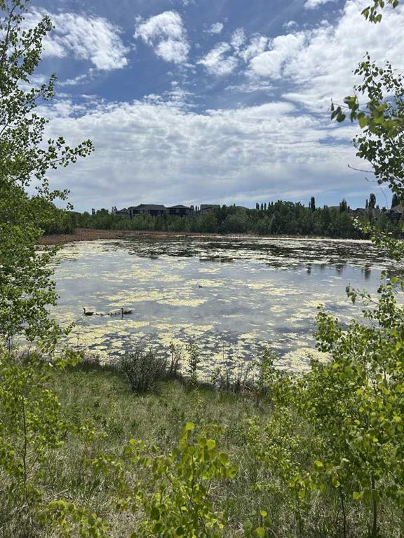Picture of 284 Rock Lake Drive NW, Calgary Real Estate Listing