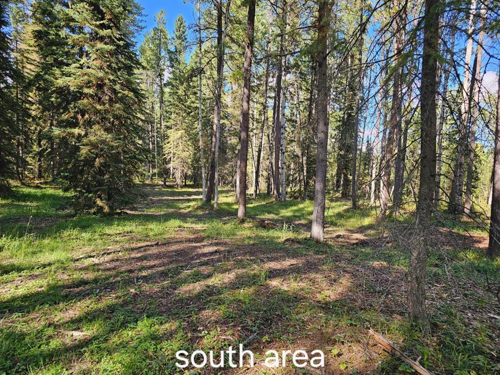 Picture of Pine Ridge Alley , Rural Clearwater County Real Estate Listing