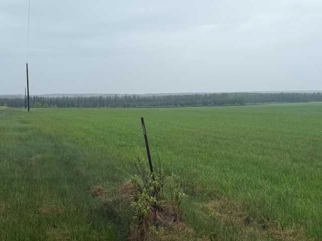 Picture of 694009 44 Highway , Rural Lesser Slave River No. 124, M.D. of Real Estate Listing