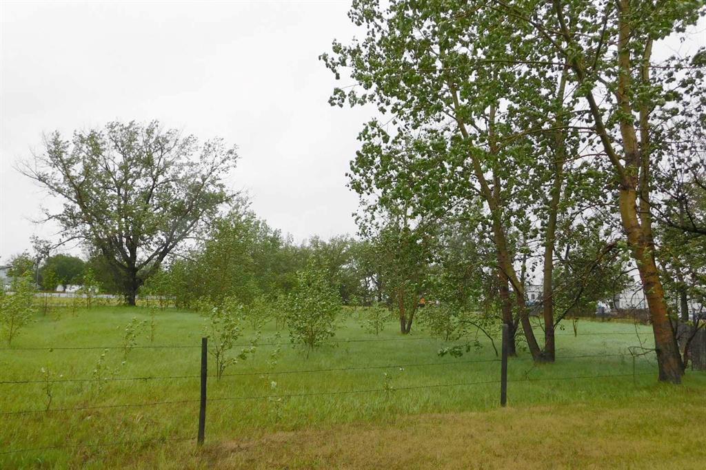 Picture of 12 Anson Road N, Rural Willow Creek No. 26, M.D. of Real Estate Listing