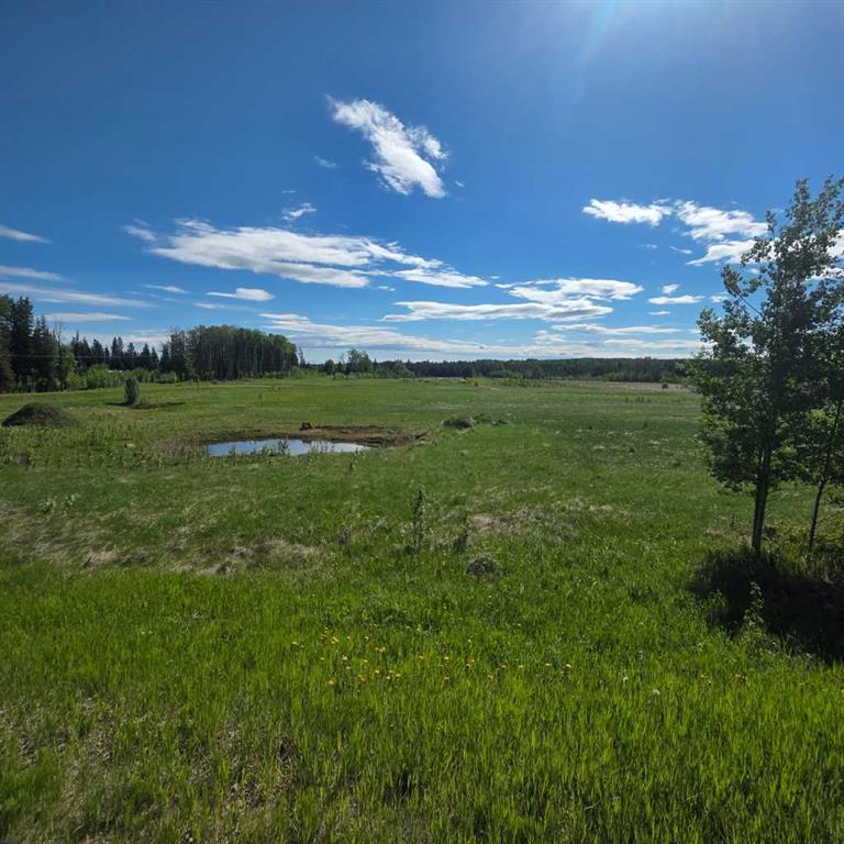 Picture of Lot 4 Range Road 175  , Rural Yellowhead County Real Estate Listing