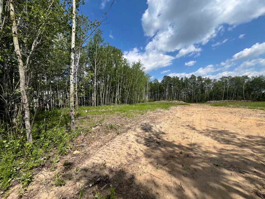 Picture of 110 Tawatinaw Drive , Athabasca Real Estate Listing