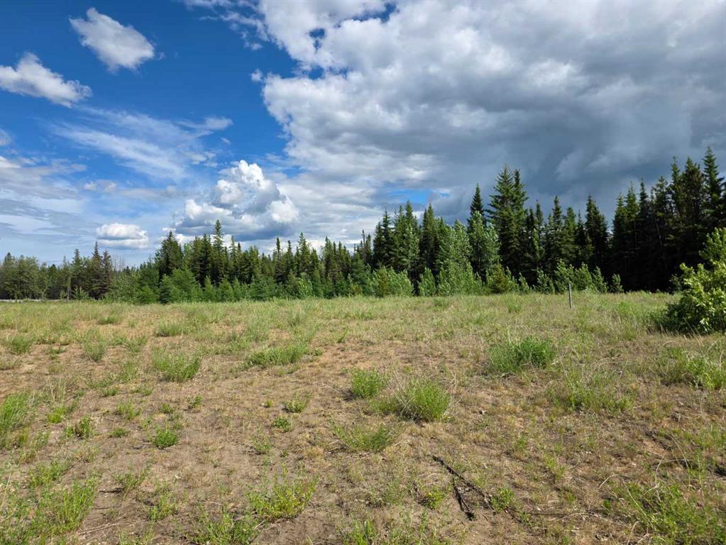 Picture of 5, 64009 704 Township , Rural Grande Prairie No. 1, County of Real Estate Listing