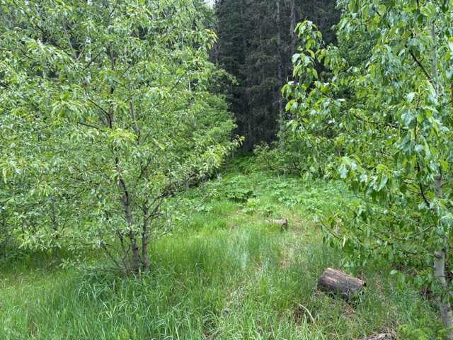 Picture of 229 Mountain Lion Drive , Bragg Creek Real Estate Listing