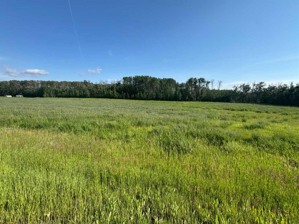 Picture of Lot 6, NW-36-70-7-W6 PART OF  NW, Rural Grande Prairie No. 1, County of Real Estate Listing