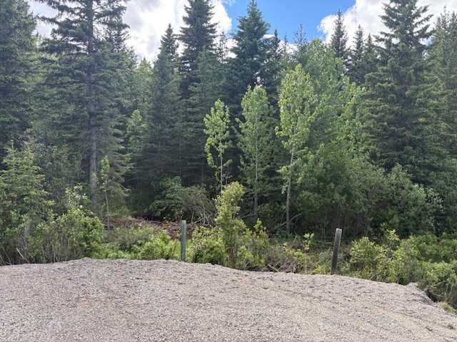 Picture of Range Road 51  , Rural Mountain View County Real Estate Listing