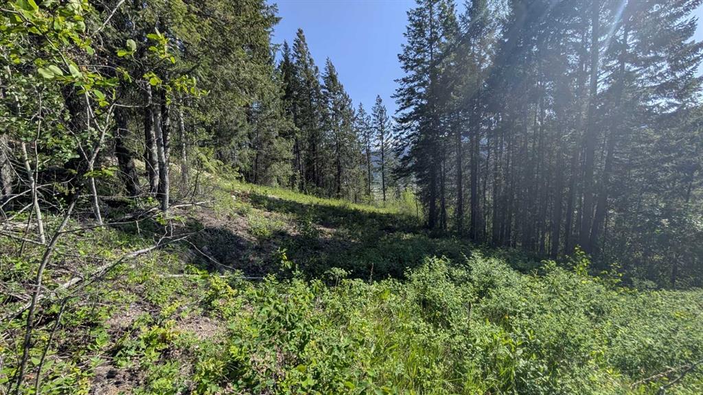 Picture of Site #12, 13 , 14, 3483 Highway 95  , Out of Province_Alberta Real Estate Listing