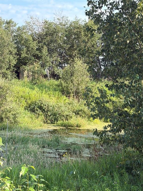 Picture of SE 26-52-3 W4 TWP Road 524  , Marwayne Real Estate Listing