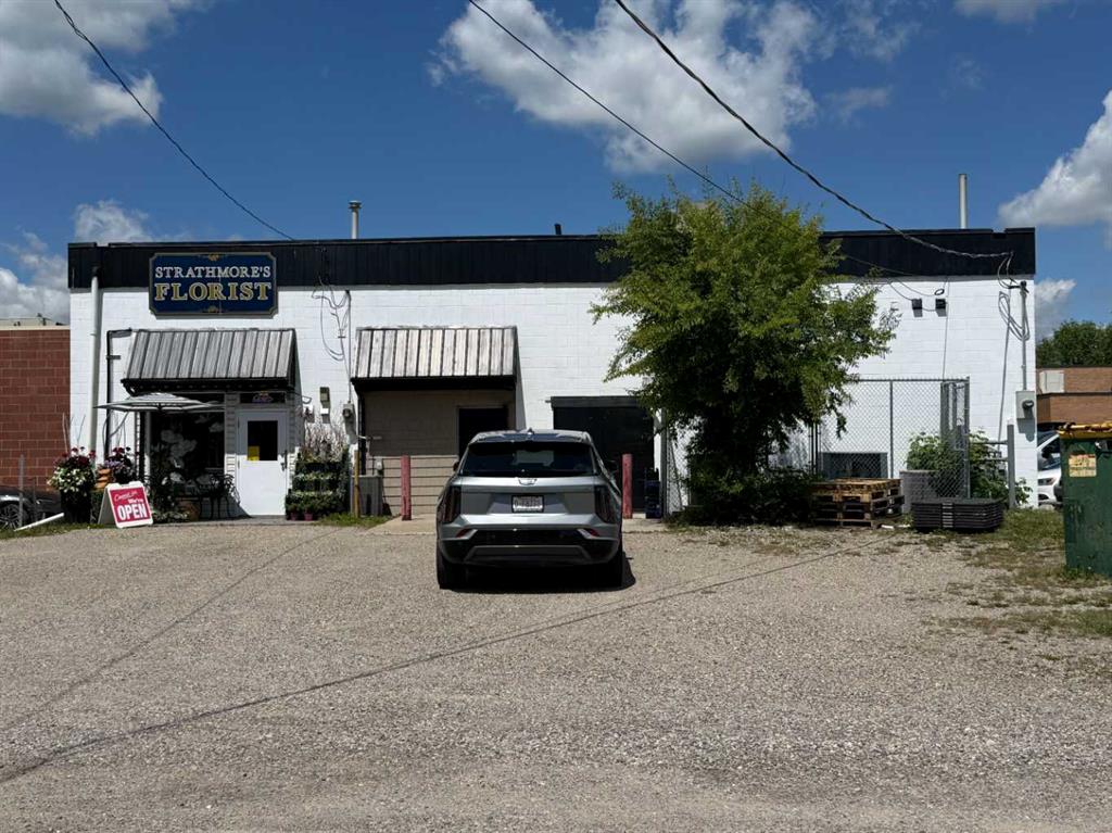 Picture of 1B, 215 2 Avenue , Strathmore Real Estate Listing
