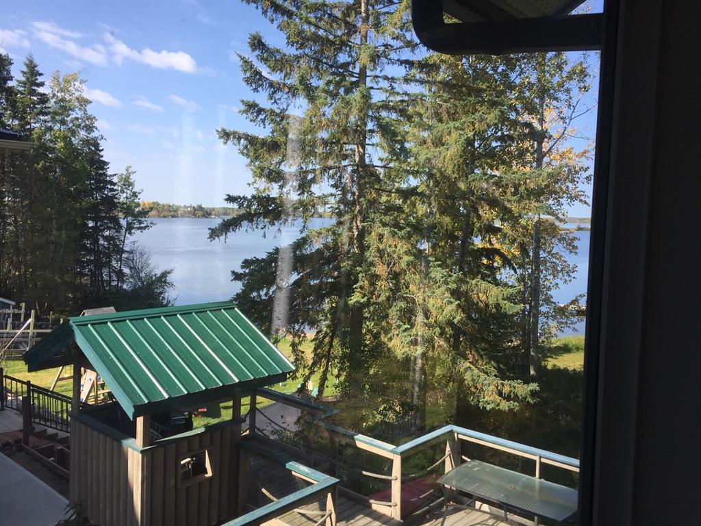 Picture of 107 Crescent Drive , Thunder Lake Real Estate Listing