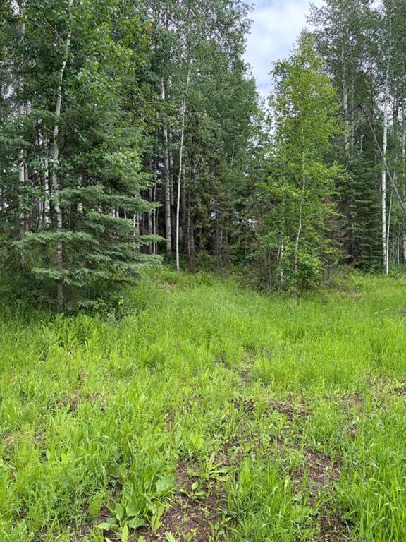 Picture of Lot 20 Block 1  , Rural Grande Prairie No. 1, County of Real Estate Listing
