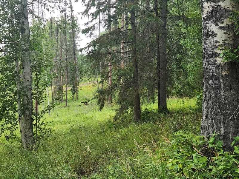 Picture of Lot 100 Block 100  , Rural Grande Prairie No. 1, County of Real Estate Listing