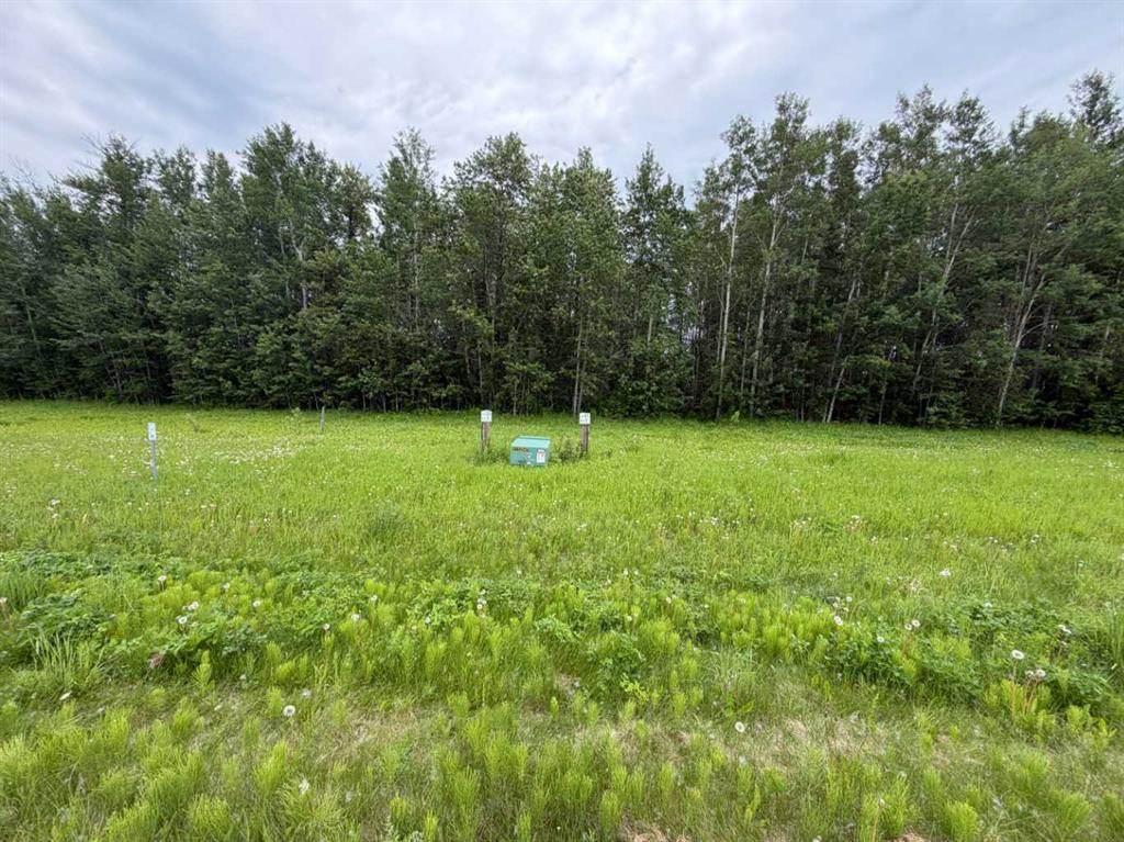 Picture of 1 Spruce Point Estates Road , Kinuso Real Estate Listing