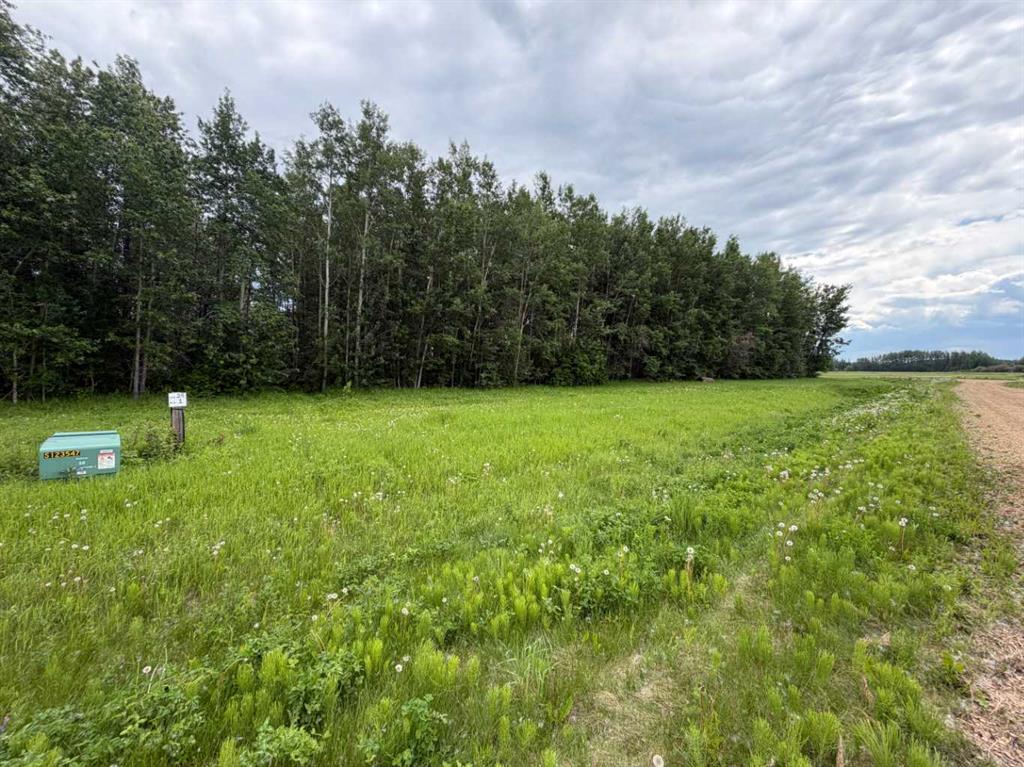 Picture of 5 Spruce Point Estates Road , Kinuso Real Estate Listing