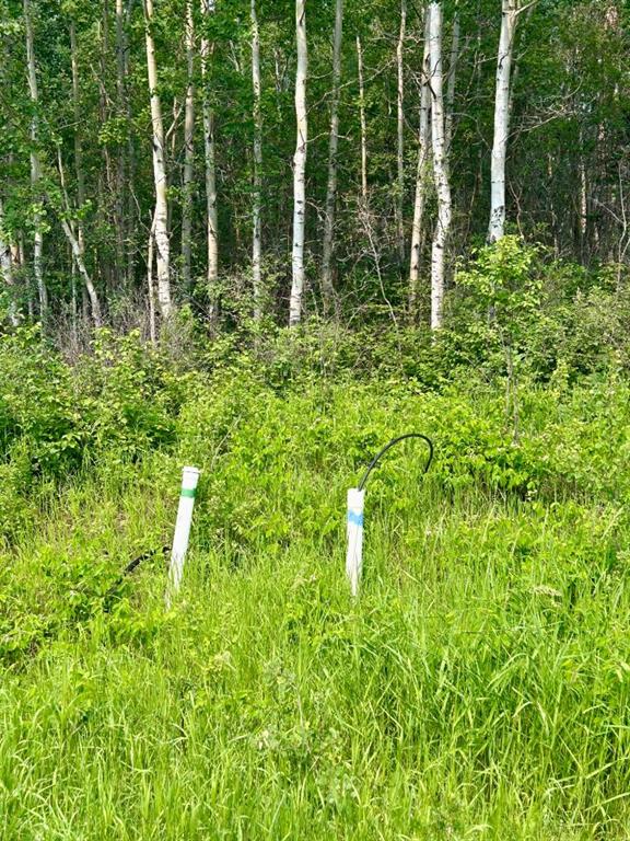 Picture of 238, 67325 Churchill Park Road , Lac La Biche Real Estate Listing