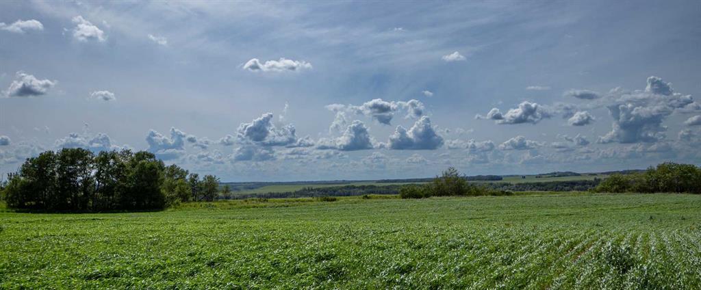 Picture of NE-36-50-8-w4  , Rural Minburn No. 27, County of Real Estate Listing