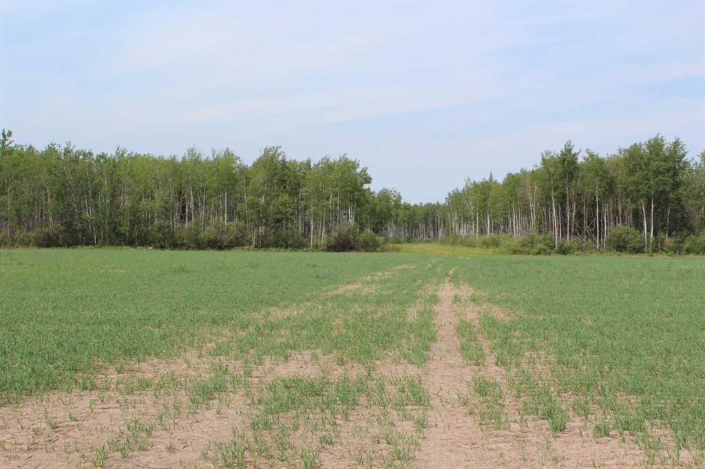 Picture of 125 Range Road  SE, Fort Vermilion Real Estate Listing