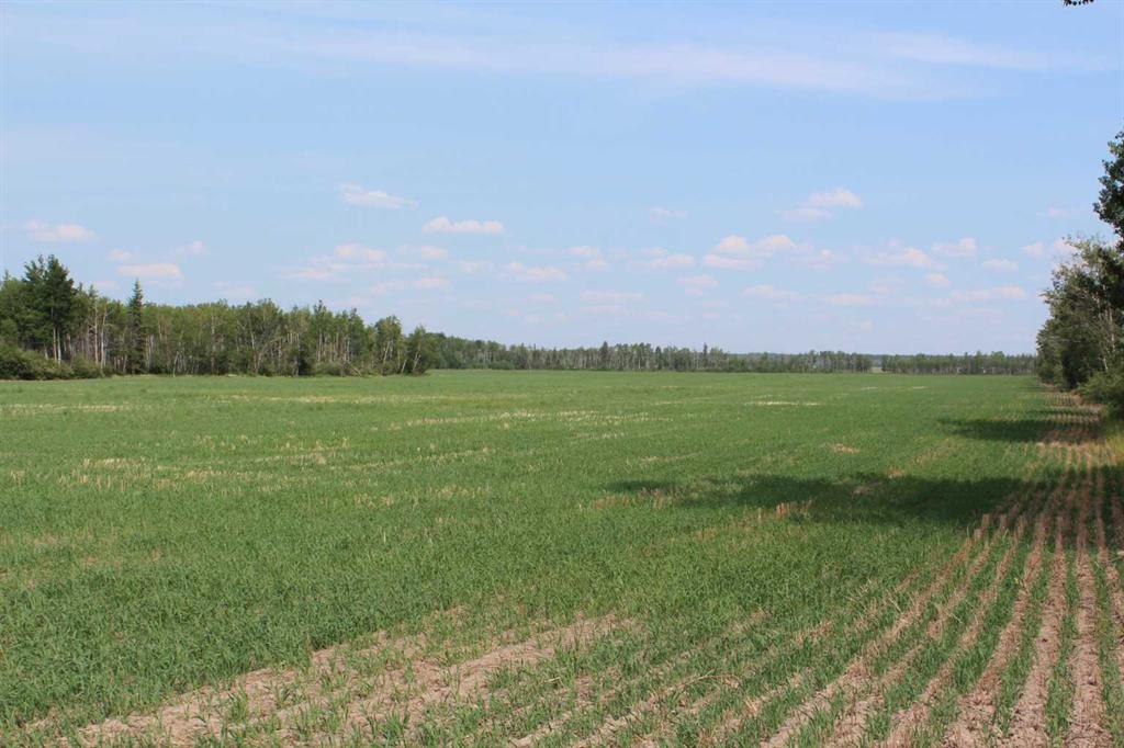 Picture of 125 Range Road  , Rural Mackenzie County Real Estate Listing
