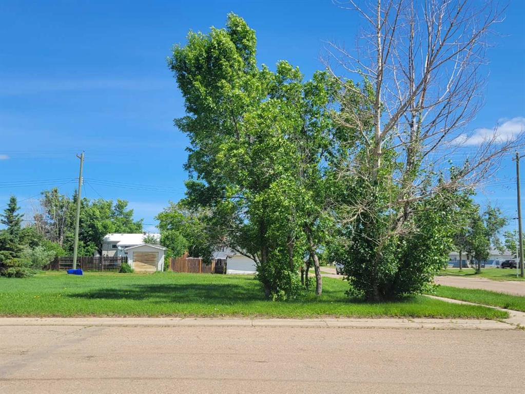 Picture of 5301 Victoria Avenue , Coronation Real Estate Listing