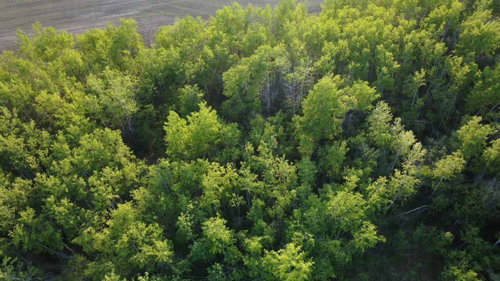 Picture of 32033 Twp Rd 832  , Rural Clear Hills County Real Estate Listing