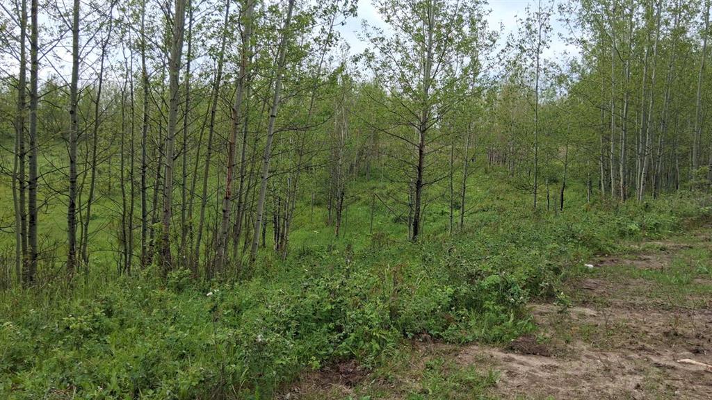 Picture of 29, 423011 Range Road 14  , Rural Ponoka County Real Estate Listing
