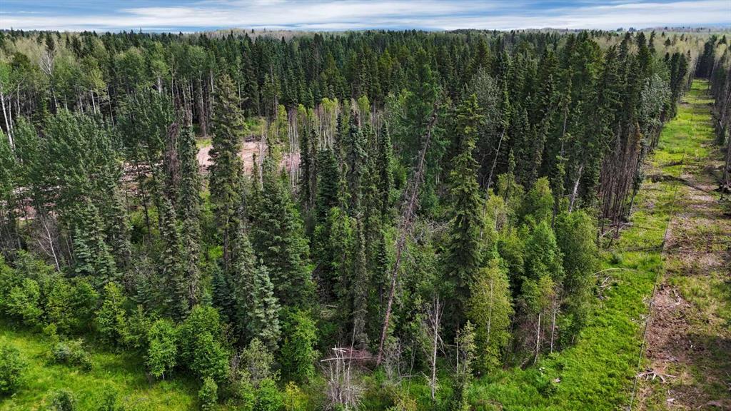 Picture of Range Road 85  , Rural Brazeau County Real Estate Listing
