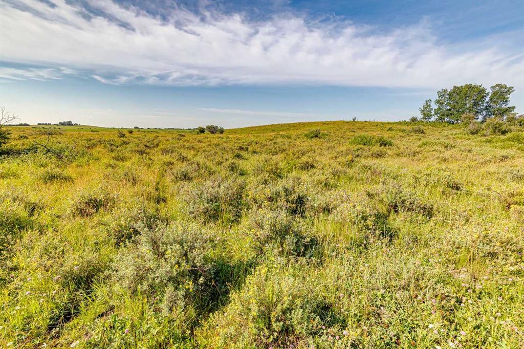 Picture of 370 Ave W  , Rural Foothills County Real Estate Listing