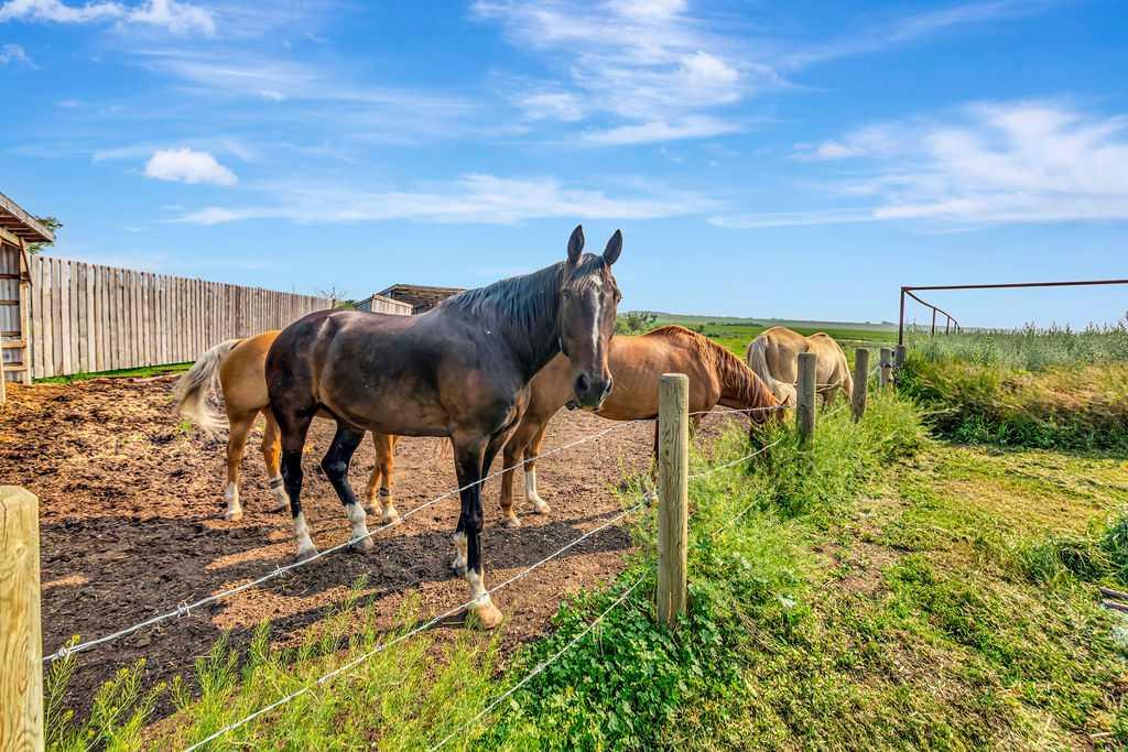 Picture of 14040 RR 14A  , Rural Provost No. 52, M.D. of Real Estate Listing