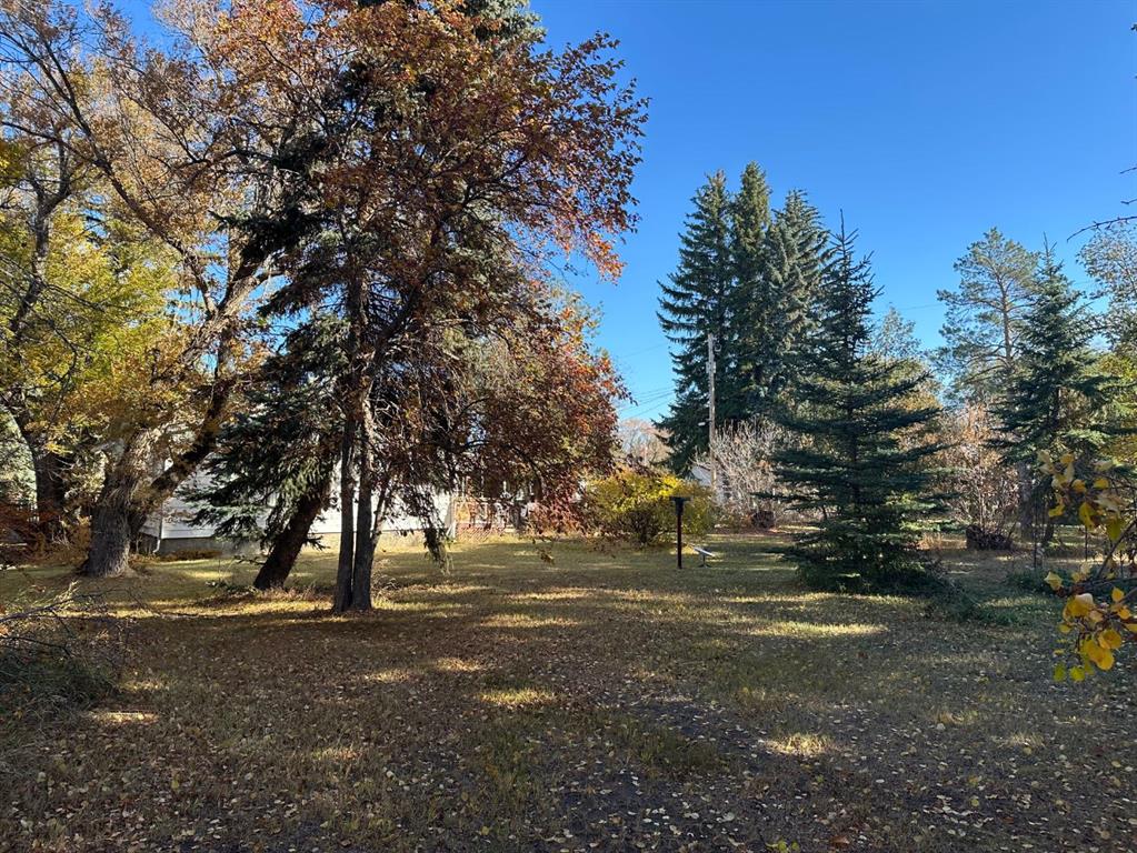 Picture of 4819 50th Alley N, Amisk Real Estate Listing