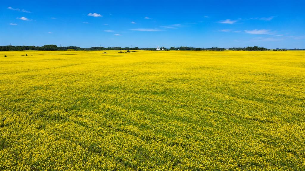Picture of Mundare 160 Acres  , Rural Minburn No. 27, County of Real Estate Listing