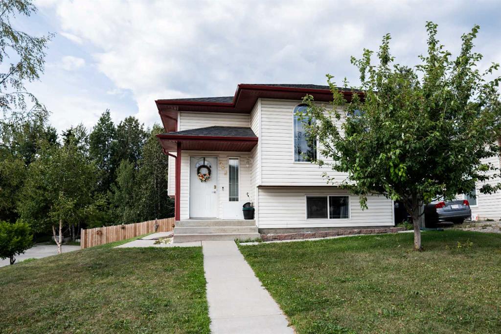 Picture of 382 Skogg Avenue , Hinton Real Estate Listing