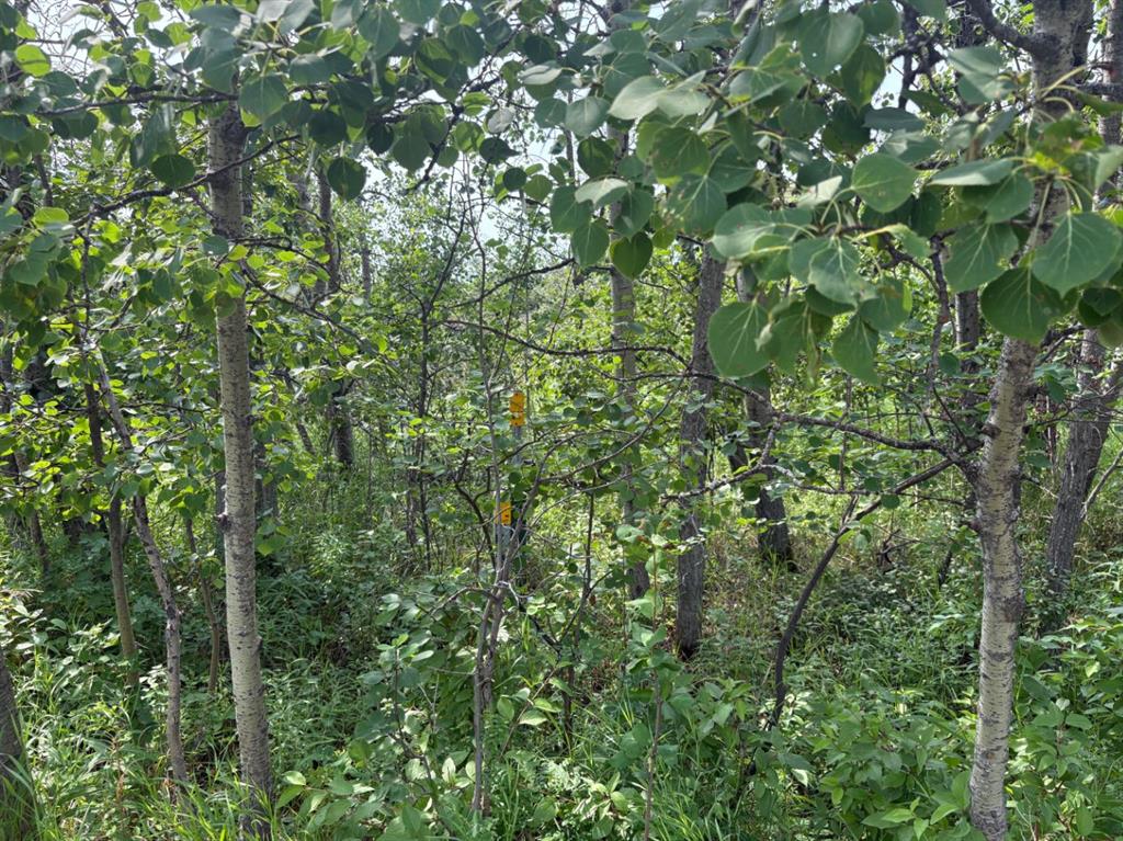 Picture of 324, 22113 TWP RD 440  , Rural Camrose County Real Estate Listing