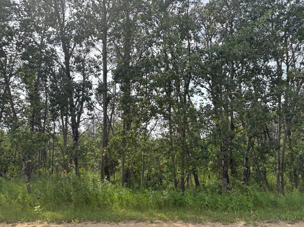 Picture of 328, 22113 TWP RD 440  , Rural Camrose County Real Estate Listing