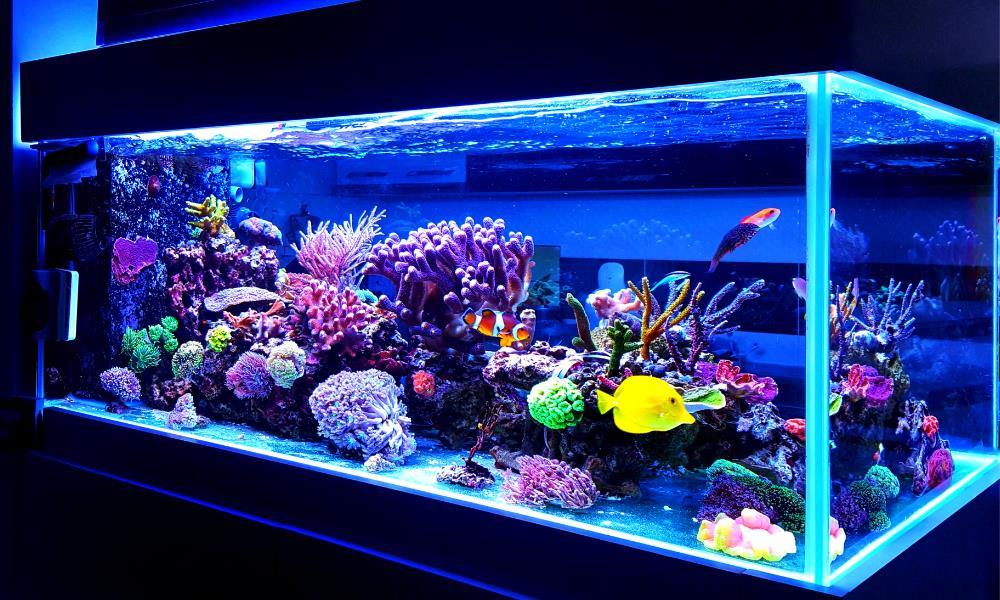 Picture of 123 Fish Store Avenue NW, Calgary Real Estate Listing