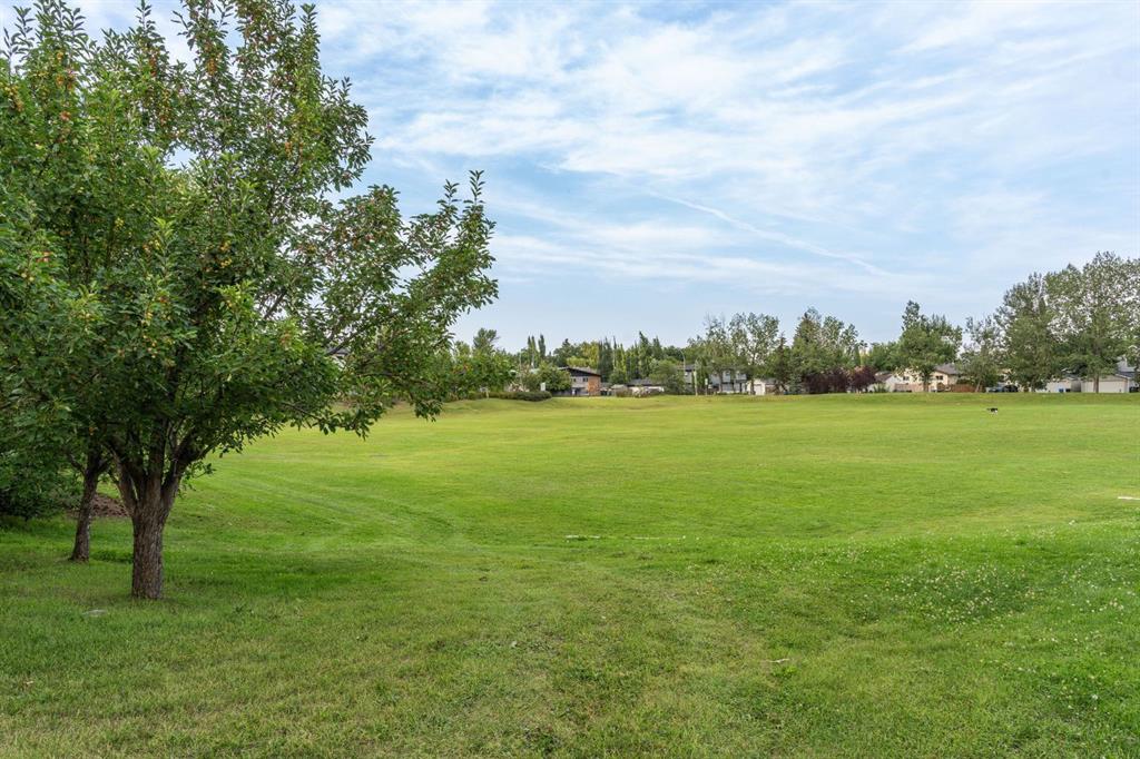 Picture of 2819 28 Street SW, Calgary Real Estate Listing