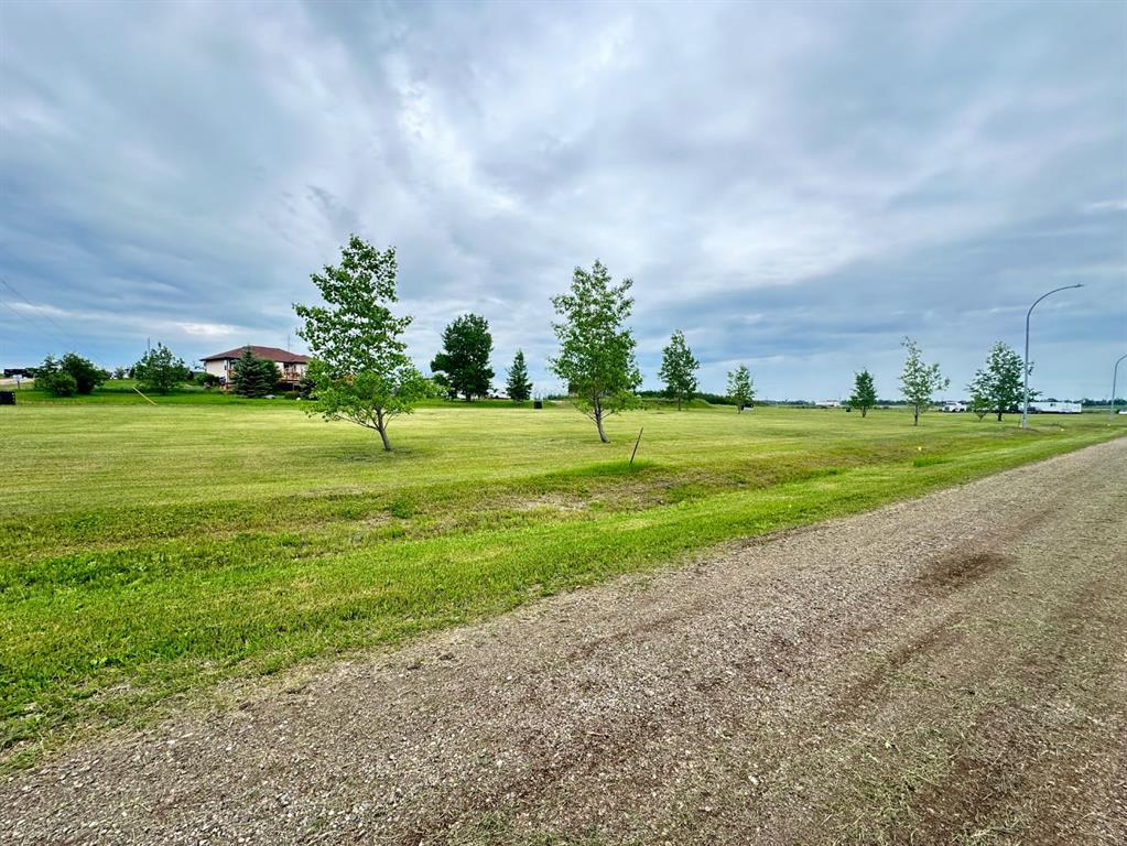 Picture of Lot 1, Block 12 2 Street W, Waseca Real Estate Listing