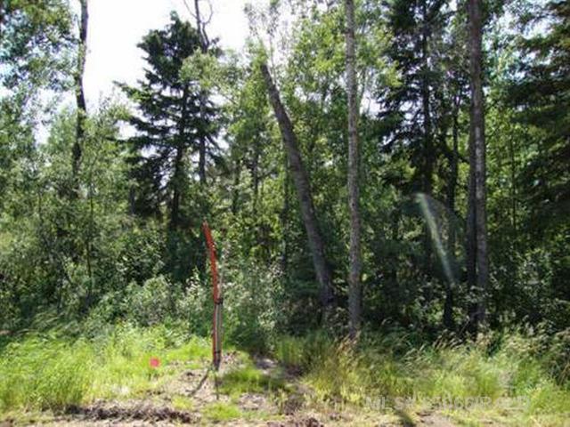 Picture of Lot 1 Blk 5 LAKESIDE Drive , Perch Lake Real Estate Listing