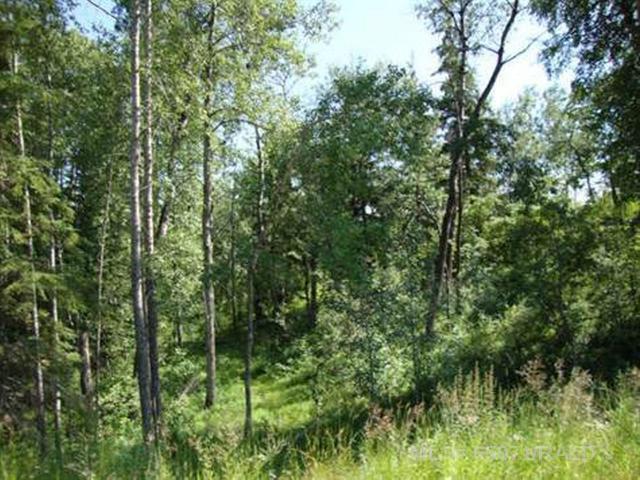 Picture of Lot 4 Blk 5 LAKESIDE Drive , Perch Lake Real Estate Listing